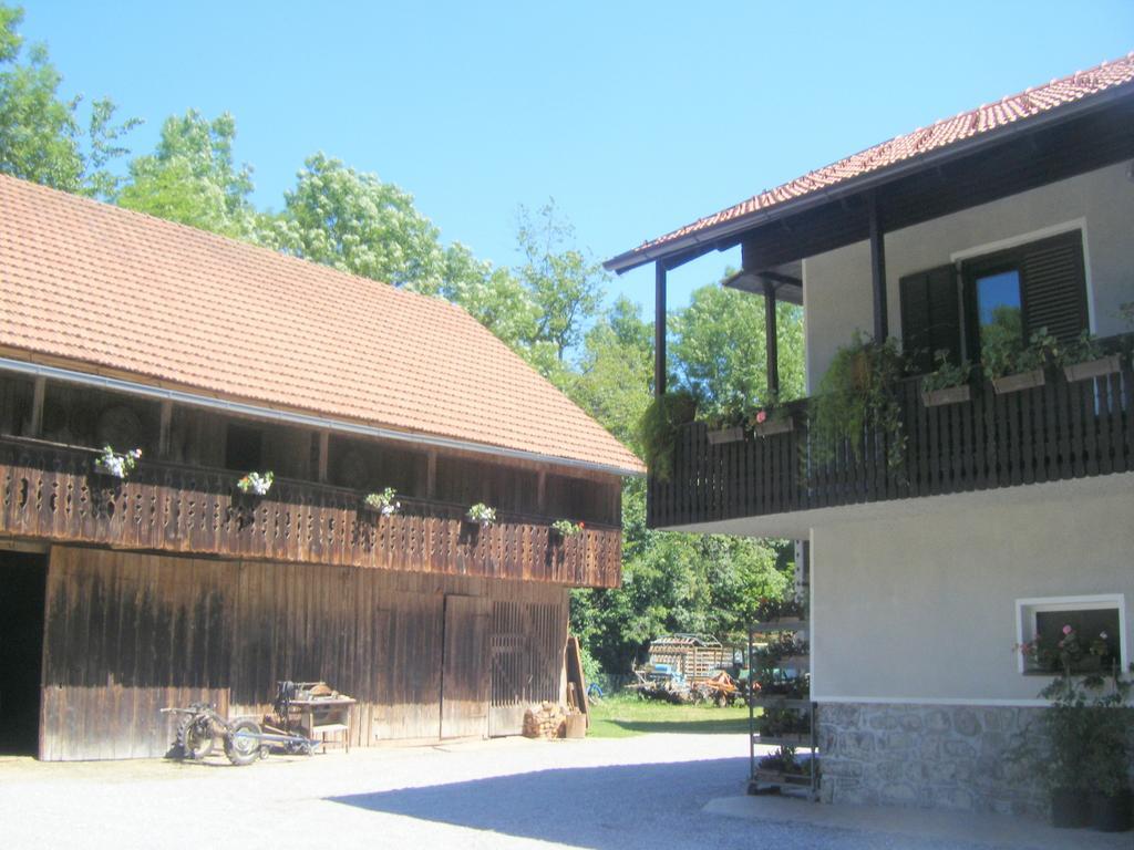 Guest House Kmetija Dane Ngoại thất bức ảnh